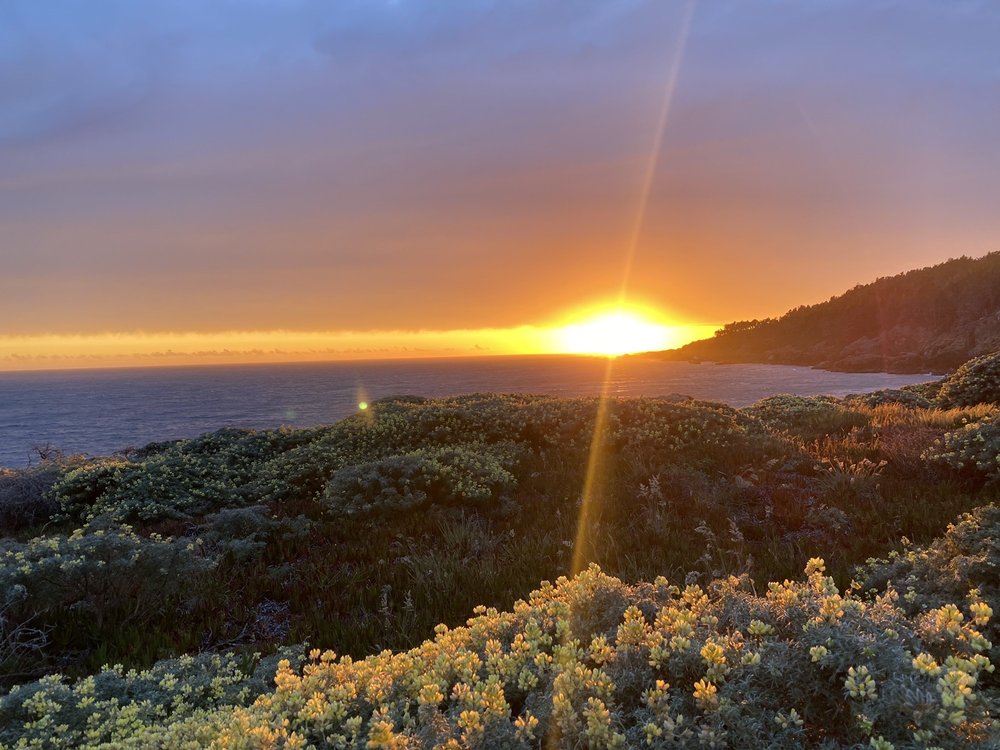 OCEAN COVE CAMPGROUND 271 Photos & 91 Reviews 23125 Coast Hwy 1