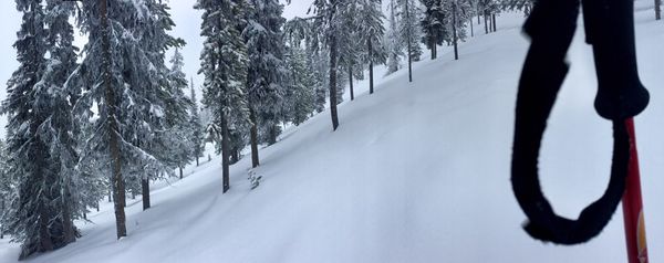 Blacktail Mountain Ski Area by null