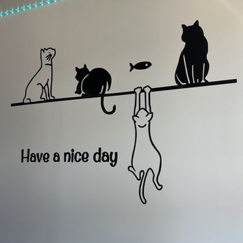 MiMi Milk Tea - cats on a line with a cat saying have a nice day - Bubble Tea Near Me - Blue Springs, Missouri MiMi Milk Tea - cats on a line with a cat saying have a nice day - Bubble Tea Near Me - Blue Springs, Missouri
