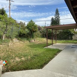 Backyard before Backyard before