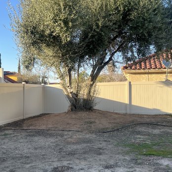 Timber Pros Tree Service - Before - Tree Services Near Me - Fontana , California Timber Pros Tree Service - Before - Tree Services Near Me - Fontana , California