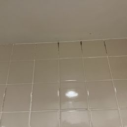 Mold in Shower