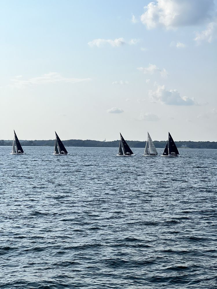 PARADISE CHARTER CRUISES Updated September 2024 40 Photos & 20