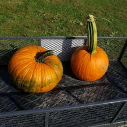 Fix Bros Fruit Farm