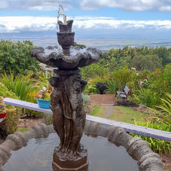 Ali'i Kula Lavender - Tours Near Me - Kula, Hawaii Ali'i Kula Lavender - Tours Near Me - Kula, Hawaii