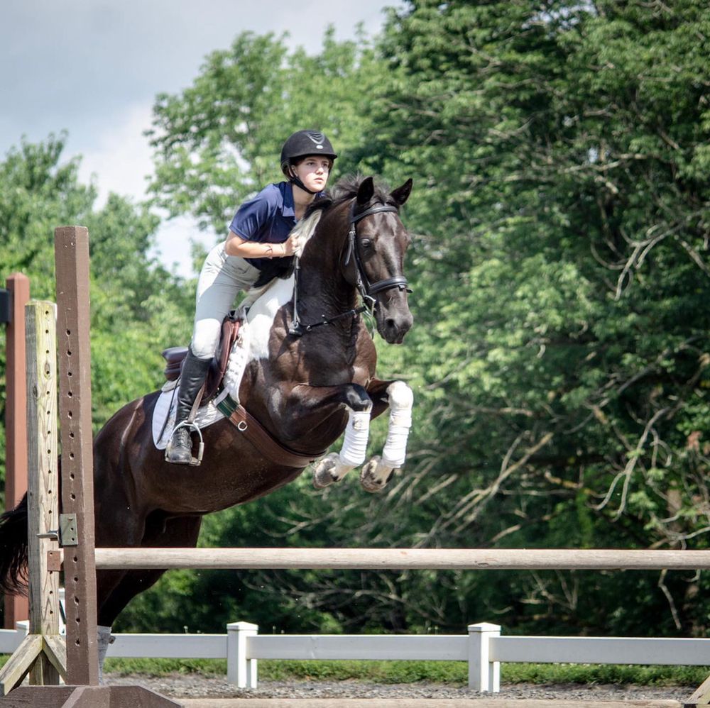 RISING STAR EQUESTRIAN CENTER Updated October 2024 23 Photos 2302