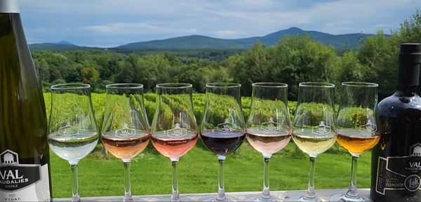 Val Caudalies - Vignoble & Cidrerie by null