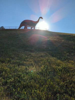 Dinosaur Park by null