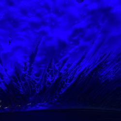 Club Car Wash - Scrubbed