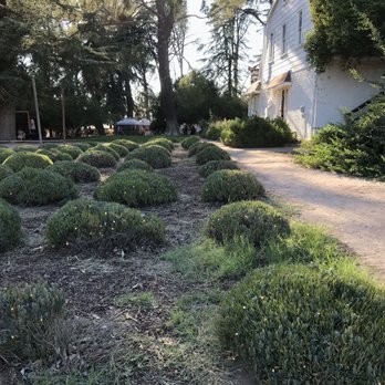 123 Farm - Outside by the parking lot - Farmers Market Near Me - Cherry Valley, California