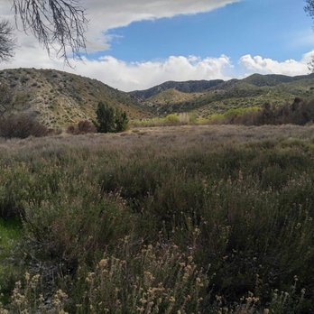 Big Morongo Canyon Preserve - Parks Near Me - Morongo Valley, California Big Morongo Canyon Preserve - Parks Near Me - Morongo Valley, California
