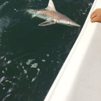 Rod Bending Charters - Fishing Near Me - Galveston, Texas