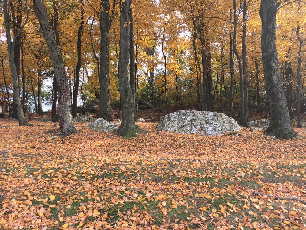SAMUEL S. LEWIS STATE PARK Updated September 2024 76 Photos 6000 Mt Pisgah Rd, York