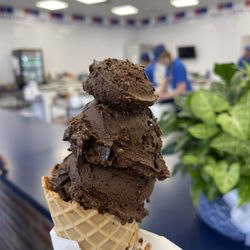 Handel's Homemade Ice Cream - Dark chocolate