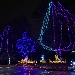 Winter Wonderland - Lights