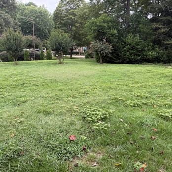 TruGreen Lawn Care - Tree Services Near Me - Acworth, Georgia