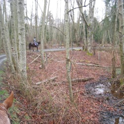 Langley 204 Riding Stables Campbell Valley Park - Trail ride in Campbell Valley Regional Park (March 2011)