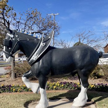 Express Clydesdales - Attraction Farms Near Me - Yukon, Oklahoma
