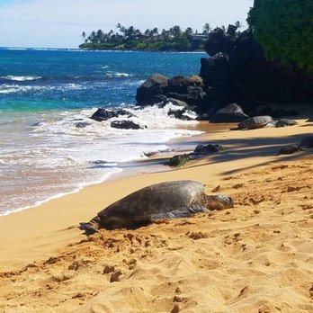 The Magic of Maui Experience - Tours Near Me - Kihei, Hawaii The Magic of Maui Experience - Tours Near Me - Kihei, Hawaii
