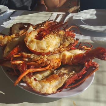 Villa Ortega's - Three halves for 4 people. Almost couldn't finish it. #bejealous - Seafood Near Me - Puerto Nuevo, BCN