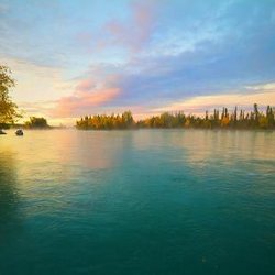 King Of The River