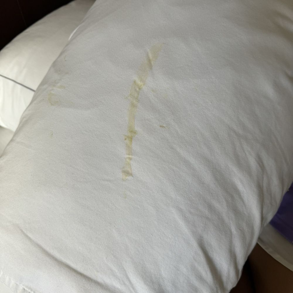 The review that keeps on giving. My daughter turned her pillow around and this.... The review that keeps on giving. My daughter turned her pillow around and this....