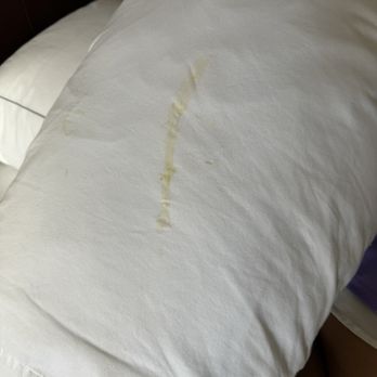 DoubleTree by Hilton Hotel Largo/Washington DC - The review that keeps on giving. My daughter turned her pillow around and this.... - Hotels Near Me - Largo, Maryland