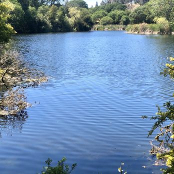 Hidden Lakes Park - 04/26/2020: The lake - Parks Near Me - Martinez, California