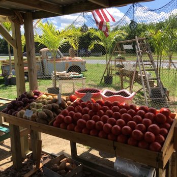Coastal Croft - Fresh Produce We Sell - Fruits & Veggies Near Me - Milton, Delaware Coastal Croft - Fresh Produce We Sell - Fruits & Veggies Near Me - Milton, Delaware