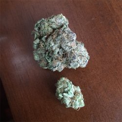 The Dankery