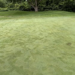 Juday Creek Golf Course - Greens unmaintained with old holes showing giant brown spots.