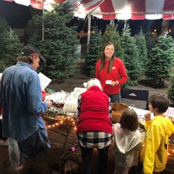 Moon Valley Christmas Trees
