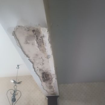 Rapid Repair - Drywall Installation & Repair Near Me Rapid Repair - Drywall Installation & Repair Near Me