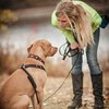 Karma Dog Training gift card