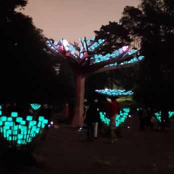 Entwined Lighted Forest - Cool colors against backdrop - Public Art Near Me - San Francisco, California Entwined Lighted Forest - Cool colors against backdrop - Public Art Near Me - San Francisco, California