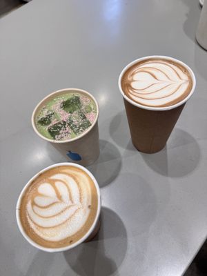 Blue Bottle Coffee by null