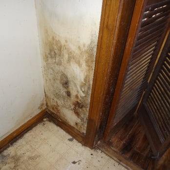 Mill Creek Environmental - Home Inspectors Near Me - Dawsonville, Georgia Mill Creek Environmental - Home Inspectors Near Me - Dawsonville, Georgia