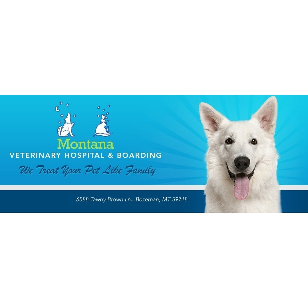 MONTANA VETERINARY HOSPITAL & BOARDING Updated August 2024 11