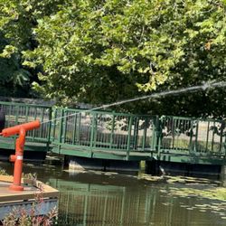 Wellfield Botanic Gardens
