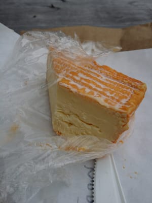 The Bloomy Rind by null