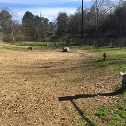 Hot Springs Bark Park
