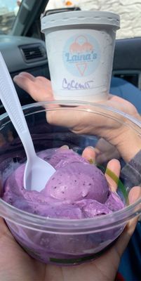 Laina’s Handmade Ice Cream by null