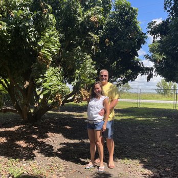 Vuon Trai Cay Miami - Logan Tree :) - Pick Your Own Farms Near Me - Miami, Florida Vuon Trai Cay Miami - Logan Tree :) - Pick Your Own Farms Near Me - Miami, Florida