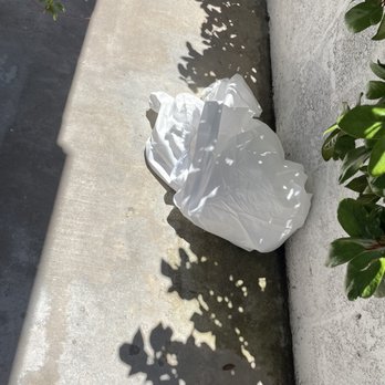 Rodent Masters - Slob left his dirty "hazmat suit" in from of my home - Insulation Installation Near Me - Van Nuys, California Rodent Masters - Slob left his dirty "hazmat suit" in from of my home - Insulation Installation Near Me - Van Nuys, California