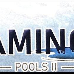 Flamingo Pools II