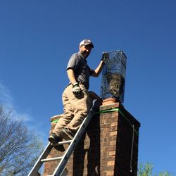 Kellys Wildlife Control