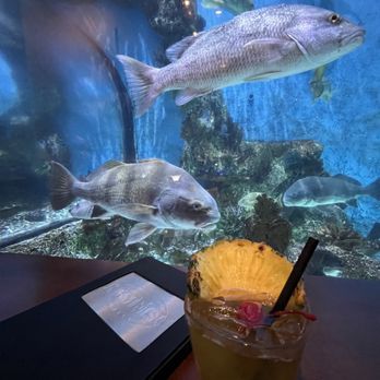 RumFish Grill and Sports Bar - Seafood Near Me - St Pete Beach, Florida