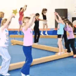 Flippers Gym Program