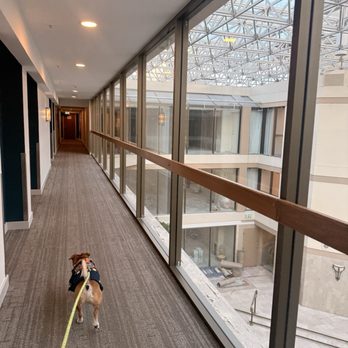 Atrium Hotel Vancouver - Hotels Near Me - Vancouver, British Columbia Atrium Hotel Vancouver - Hotels Near Me - Vancouver, British Columbia
