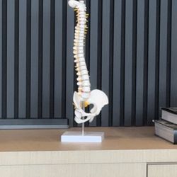 The Aligned Clinic